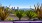 Panoramic Views